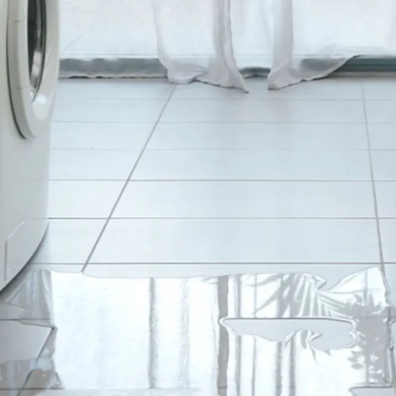 Appliance Leak Cleanup in East Oakdale, CA