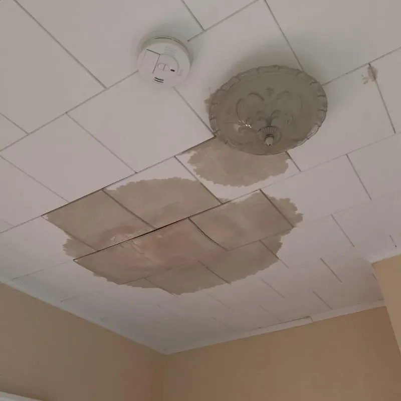 Ceiling Water Damage Repair in East Oakdale, CA