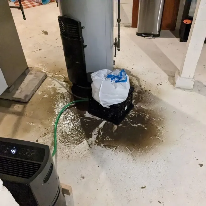 Sewage Backup Cleanup Service in East Oakdale, CA